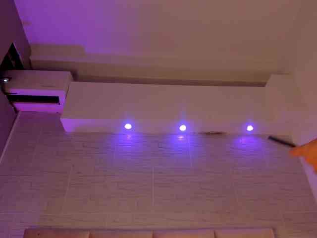 Fallon-1 webcam