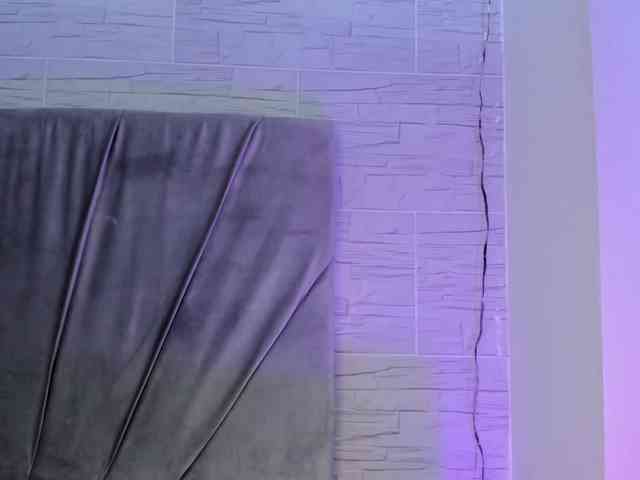 Fallon-1 webcam