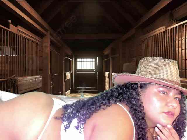 Fallon-1 webcam