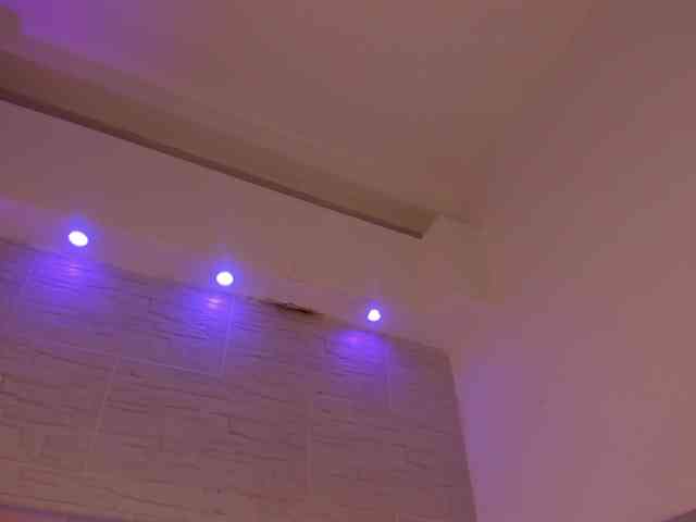 Fallon-1 webcam
