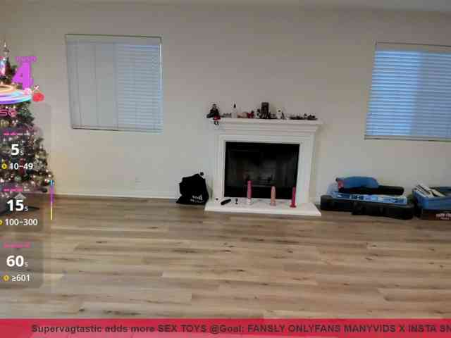 supervagtastic webcam