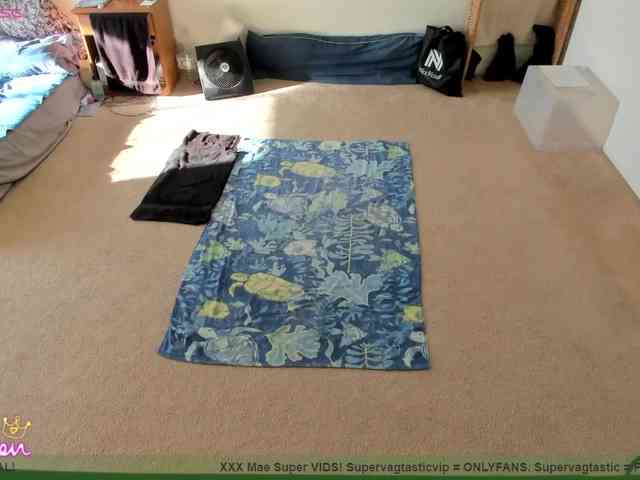 supervagtastic webcam