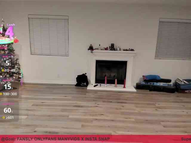 supervagtastic webcam