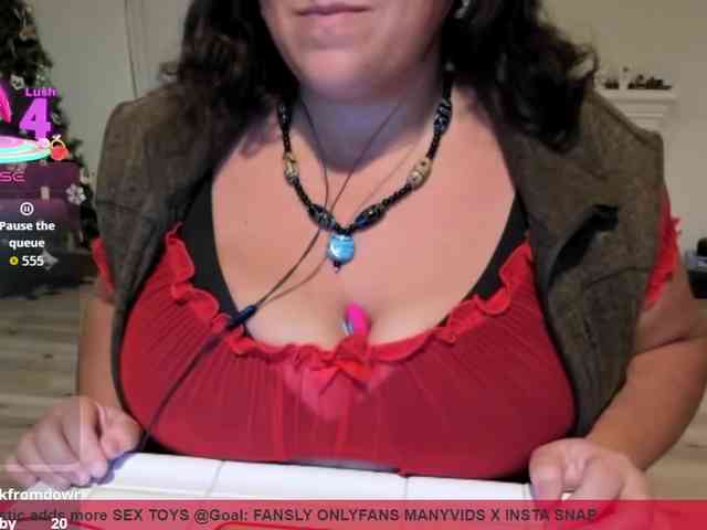 supervagtastic webcam