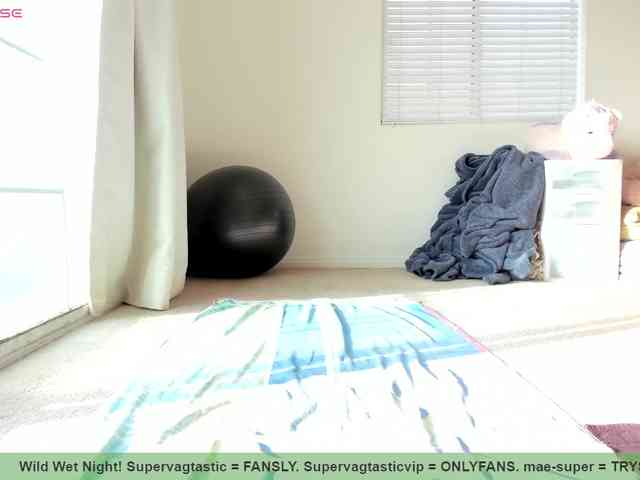 supervagtastic webcam