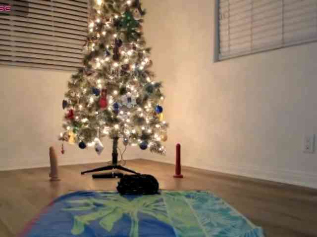 supervagtastic webcam