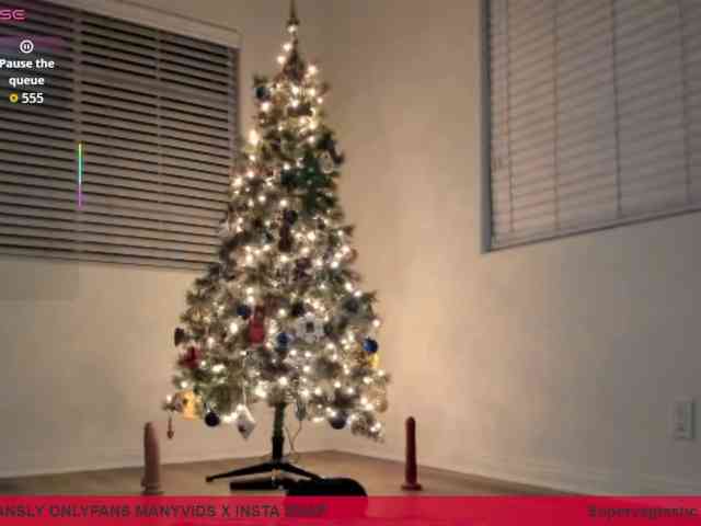 supervagtastic webcam