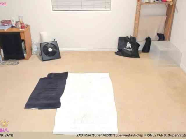 supervagtastic webcam