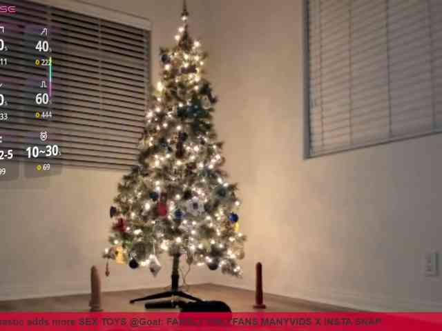 supervagtastic webcam