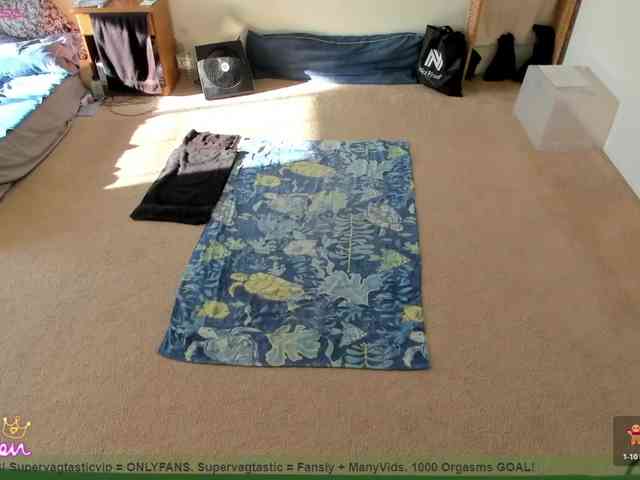 supervagtastic webcam