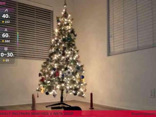 supervagtastic webcam