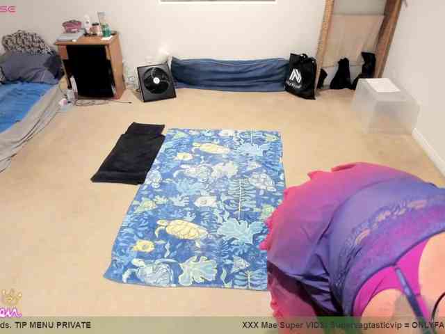 supervagtastic webcam