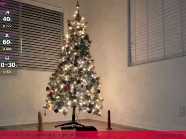 supervagtastic webcam