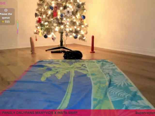 supervagtastic webcam