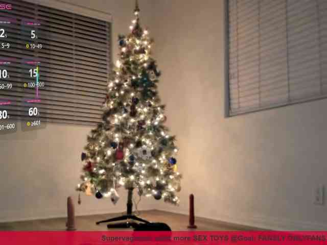 supervagtastic webcam