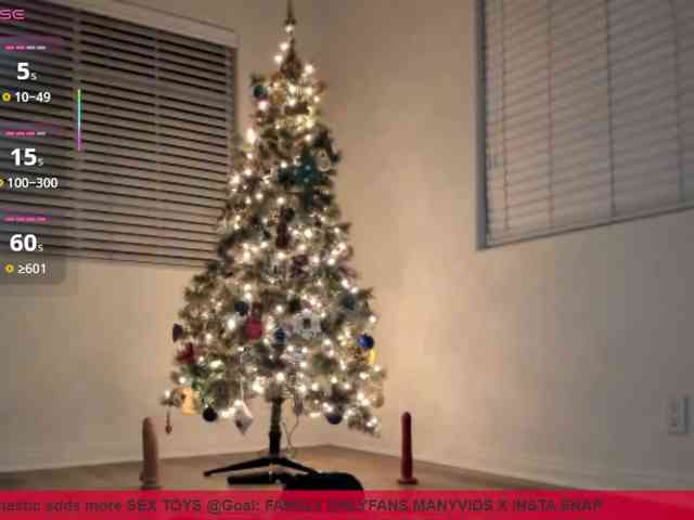 supervagtastic webcam