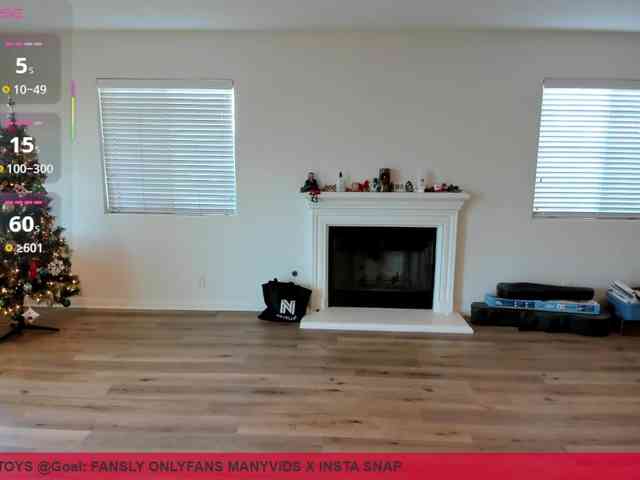 supervagtastic webcam