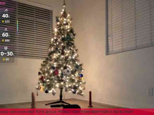 supervagtastic webcam