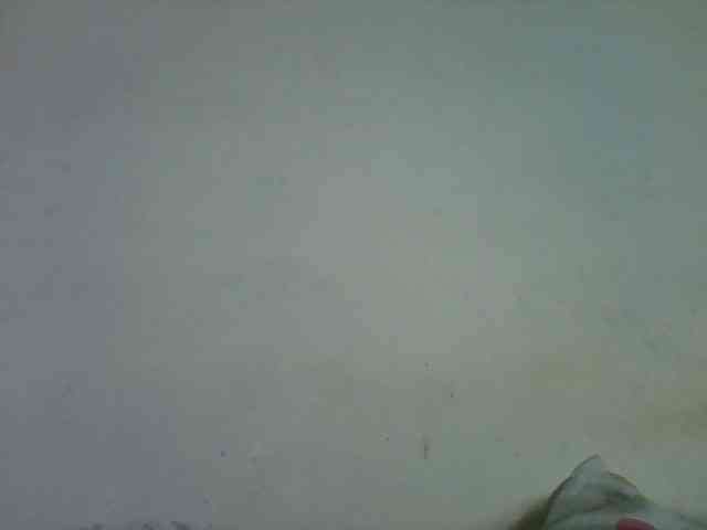 Laluna2 webcam