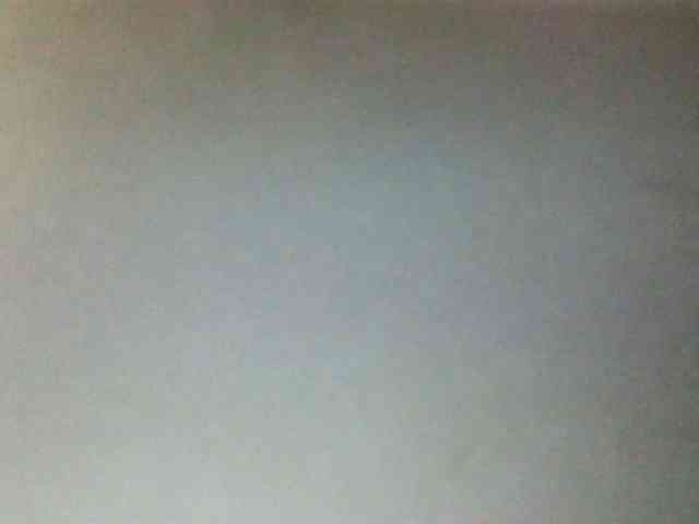 Fitebony webcam