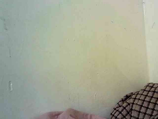 Fitebony webcam