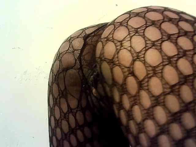 Fitebony webcam