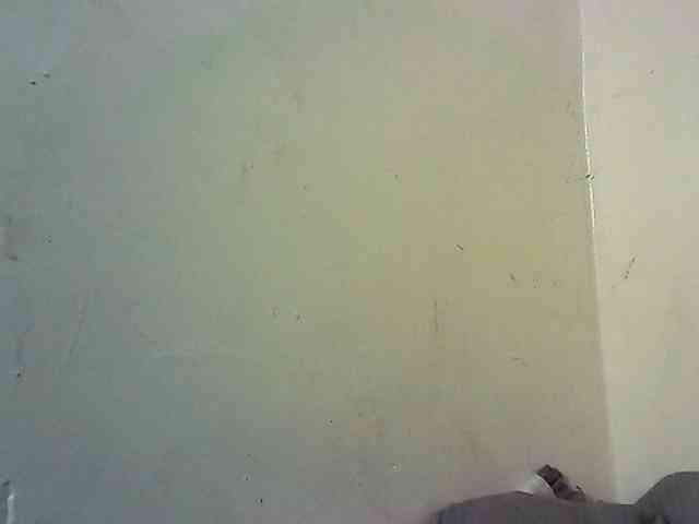 Fitebony webcam