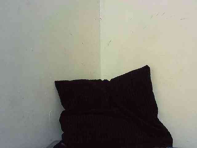 Fitebony webcam