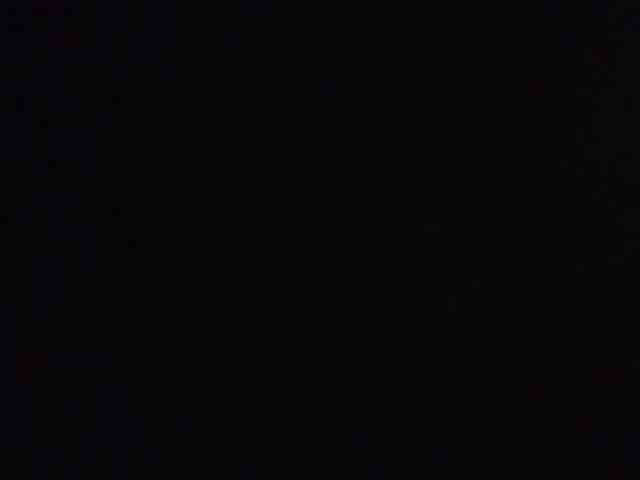 Fitebony webcam