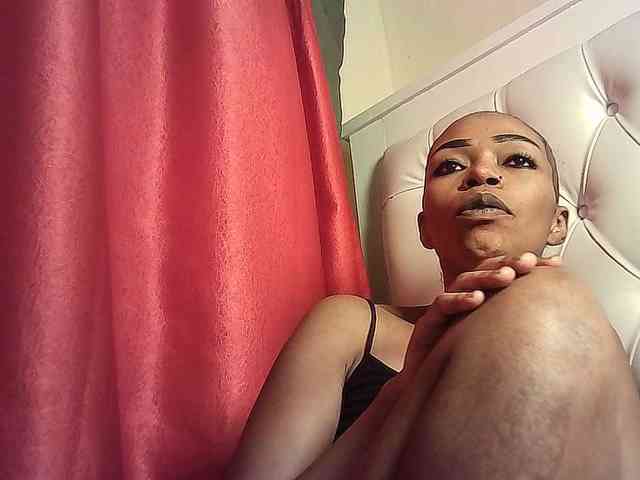 Fitebony webcam