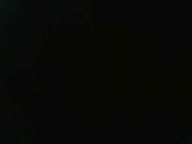 Fitebony webcam