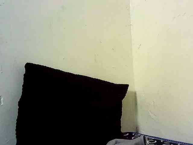 Fitebony webcam