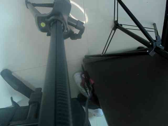 sophia-martinezz webcam