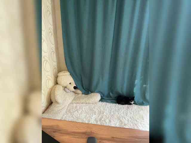 -Mint webcam