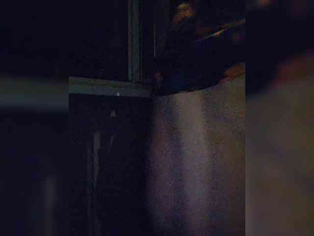 KiraKiss8 webcam