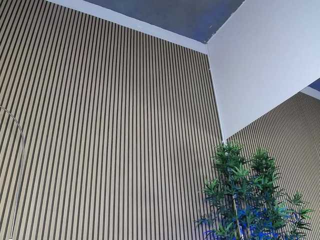 ErikaRosse's BongaCams show and profile