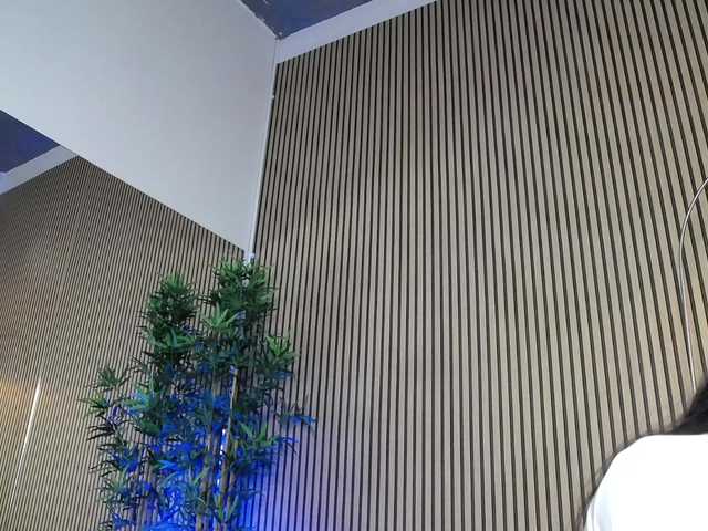 ErikaRosse's BongaCams show and profile