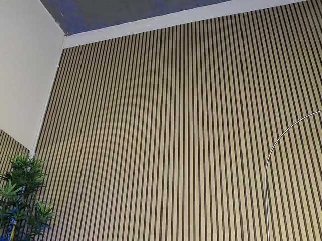 ErikaRosse's BongaCams show and profile