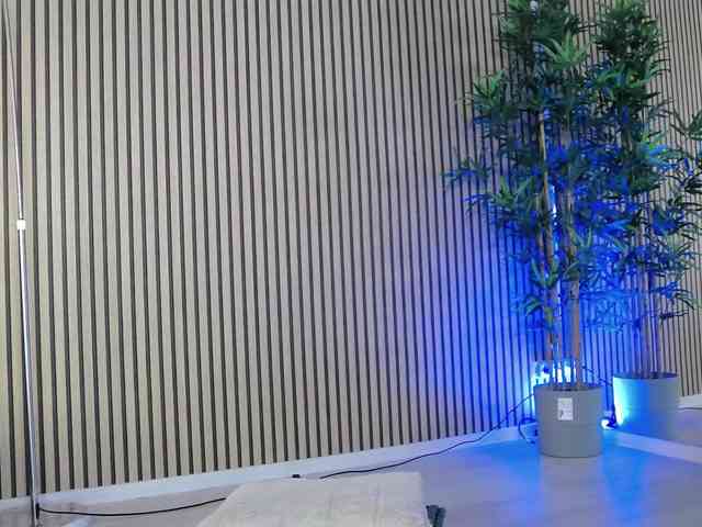 ErikaRosse Live Webcam on BongaCams