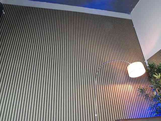 ErikaRosse webcam