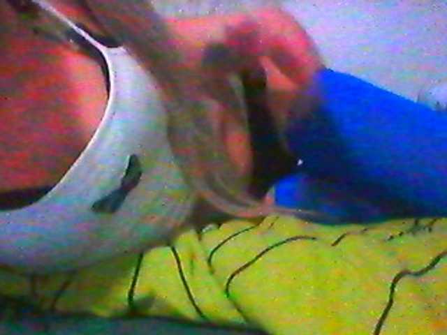 Laurien's BongaCams show and profile