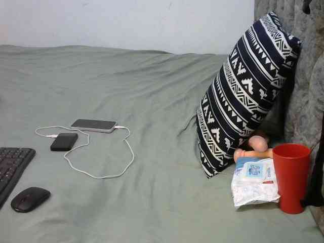 Alexa3909 webcam