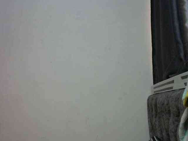 Alexa3909 webcam