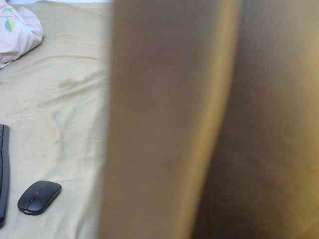 Alexa3909 webcam