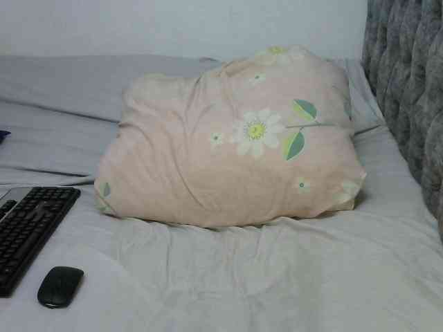Alexa3909 webcam