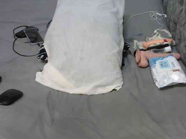 Alexa3909 webcam