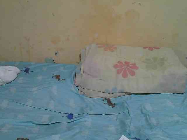 african-pussy1 webcam