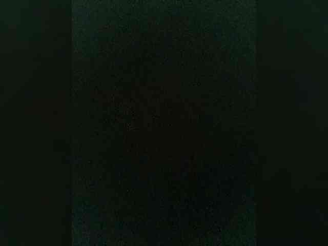 soloman1 Live Webcam on BongaCams