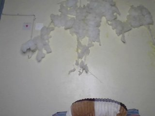 freakcurvy8 Porn Show