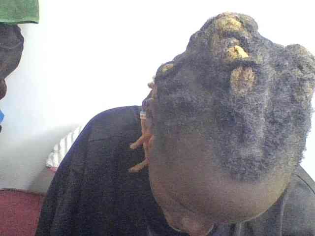 freakcurvy8 freakcurvy8